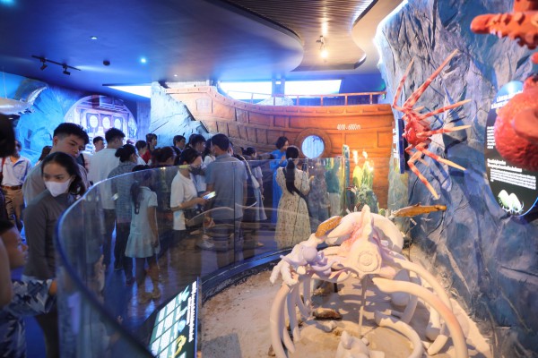 Bảo tàng Hải dương học mở cửa miễn phí khu trưng bày 'Đại dương kỳ bí'