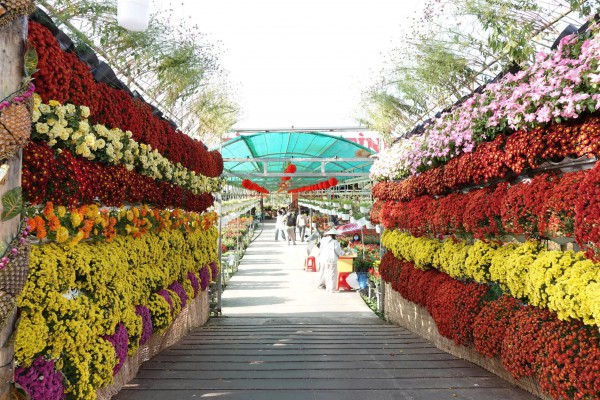 Biến vườn hoa kiểng thành điểm check-in, nông dân Sa Đéc thu tiền triệu mỗi ngày Biến vườn hoa kiểng thành điểm check-in, nông dân Sa Đéc thu tiền triệu mỗi ngày