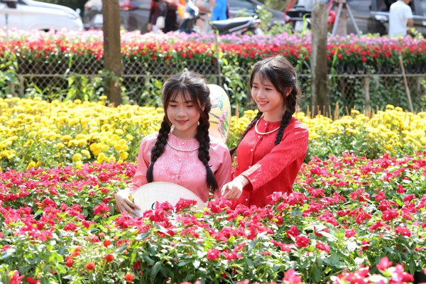 Biến vườn hoa kiểng thành điểm check-in, nông dân Sa Đéc thu tiền triệu mỗi ngày Biến vườn hoa kiểng thành điểm check-in, nông dân Sa Đéc thu tiền triệu mỗi ngày