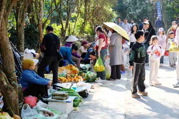 Bình Liêu mùa hoa sở gọi bước du khách