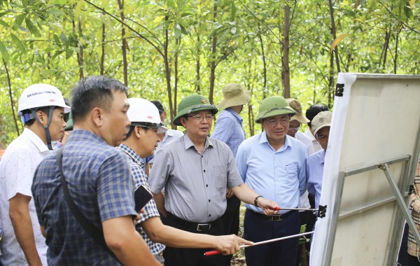 Bình Định: Khảo sát Vũng Chua làm sân golf, khu đô thị nghỉ dưỡng Bình Định: Khảo sát Vũng Chua làm sân golf, khu đô thị nghỉ dưỡng