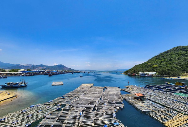 Bình Định: Khảo sát Vũng Chua làm sân golf, khu đô thị nghỉ dưỡng Bình Định: Khảo sát Vũng Chua làm sân golf, khu đô thị nghỉ dưỡng