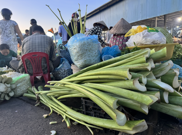 Cầm 100.000 đồng đi chợ chồm hổm lúc 3 giờ sáng mua được gì?