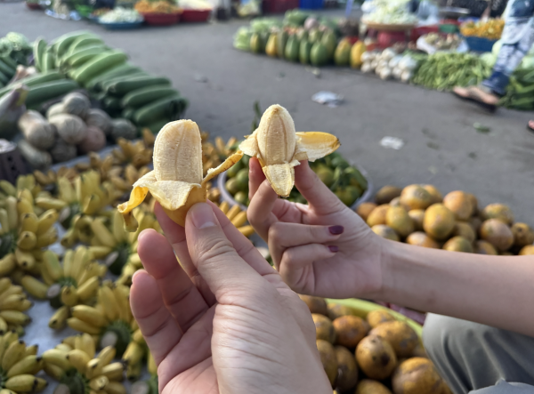 Cầm 100.000 đồng đi chợ chồm hổm lúc 3 giờ sáng mua được gì?