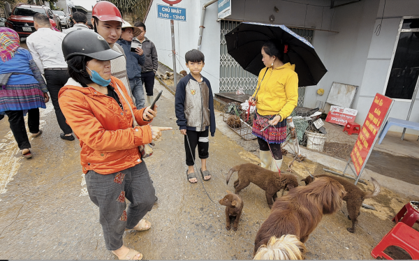 Chợ chó Bắc Hà tấp nập trong mưa rét Chợ chó Bắc Hà tấp nập trong mưa rét