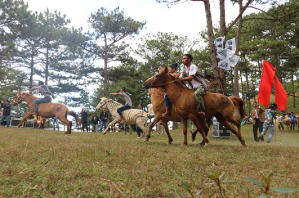 Dời ngày tổ chức giải đua ngựa không yên ở Lạc Dương vì mưa