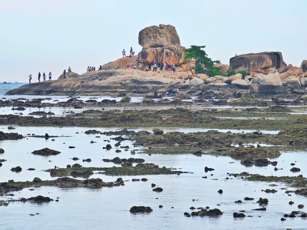 Khánh Hòa tăng cường bảo vệ rạn san hô sát bãi tắm của người dân Khánh Hòa tăng cường bảo vệ rạn san hô sát bãi tắm của người dân