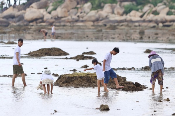 Khánh Hòa tăng cường bảo vệ rạn san hô sát bãi tắm của người dân Khánh Hòa tăng cường bảo vệ rạn san hô sát bãi tắm của người dân