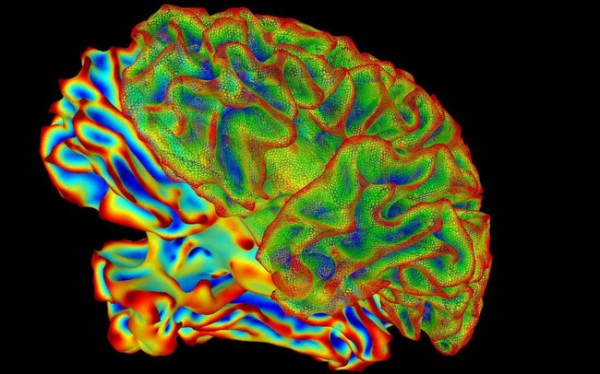 Khoa học chứng minh: mang thai có thể khiến “hao hụt chất xám” Khoa học chứng minh: mang thai có thể khiến “hao hụt chất xám”