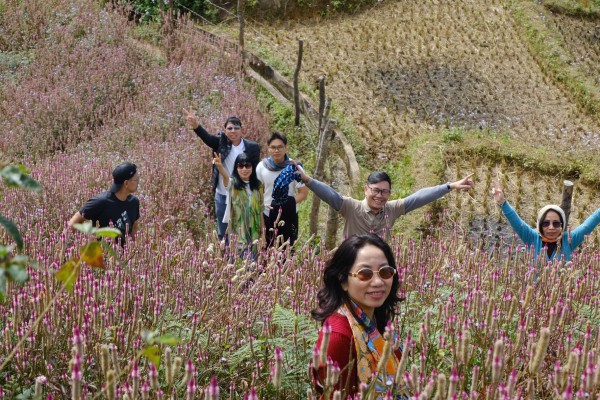 Lạc lối ở Mù Cang Chải mùa hoa Chi Pâu Lạc lối ở Mù Cang Chải mùa hoa Chi Pâu