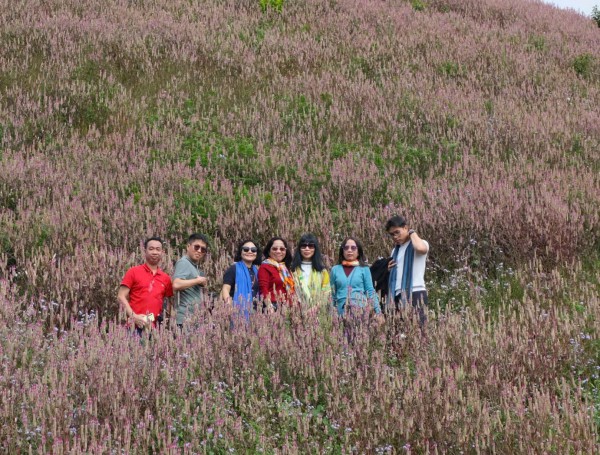 Lạc lối ở Mù Cang Chải mùa hoa Chi Pâu Lạc lối ở Mù Cang Chải mùa hoa Chi Pâu