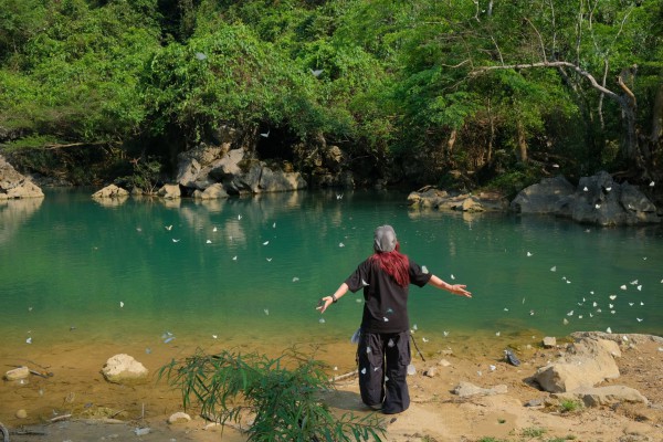 Mê mẩn mùa bướm trắng ở Phong Nha Mê mẩn mùa bướm trắng ở Phong Nha