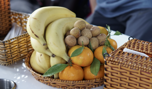 Một ngày đi tour đường sông tới Củ Chi có gì? Một ngày đi tour đường sông tới Củ Chi có gì?