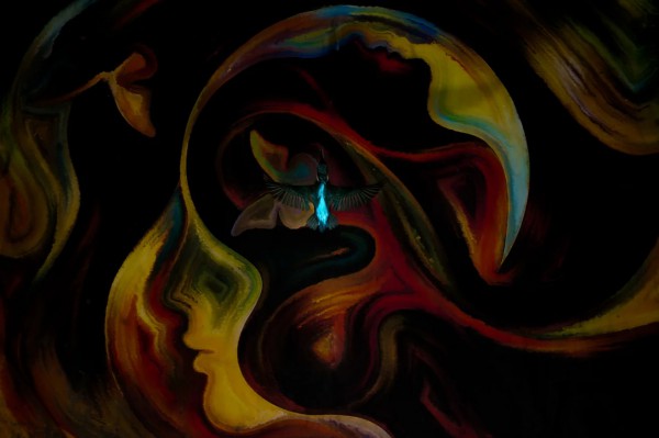 Ngắm những bức ảnh chim 'đầy cảm hứng' trong giải thưởng quốc tế