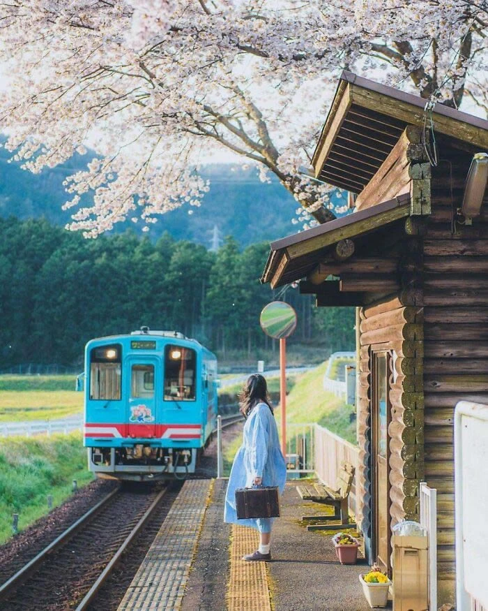 Những bức ảnh khiến Nhật Bản khác biệt so với phần còn lại của thế giới