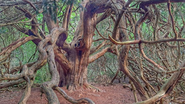 Những cảnh quan thiên nhiên bí ẩn và kỳ lạ nhất thế giới