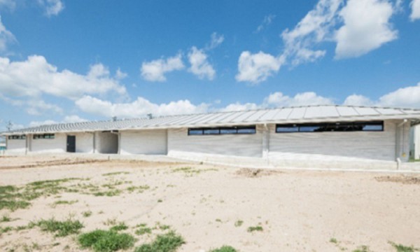 Những ngôi nhà này có thể giải cứu thế giới trong tương lai Những ngôi nhà này có thể giải cứu thế giới trong tương lai