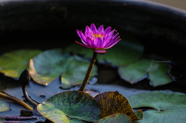 Những 'tọa độ vàng' không thể bỏ lỡ khi đến Huế dịp lễ 30.4 - 1.5 Những 'tọa độ vàng' không thể bỏ lỡ khi đến Huế dịp lễ 30.4 - 1.5