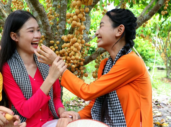 Nông dân làm du lịch từ vườn cây ăn trái, mỗi ngày đón hàng trăm khách