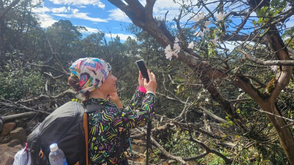 Quảng Trị có thêm tour du lịch trekking chinh phục đỉnh Voi Mẹp