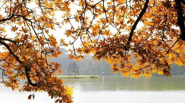 Rung động trước một Việt Nam tươi đẹp Rung động trước một Việt Nam tươi đẹp