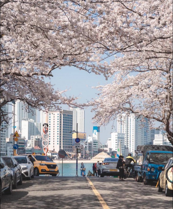 Sau 48 năm, Nhật Bản tăng phí visa với khách Việt Sau 48 năm, Nhật Bản tăng phí visa với khách Việt