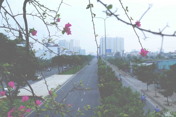 TP.HCM chìm trong sương mù tới tận trưa, khung cảnh ‘tựa như Đà Lạt’