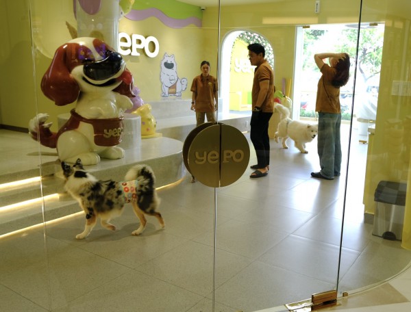 TP.HCM có quán kem độc nhất vô nhị, thiên đường cho người mê cún cưng