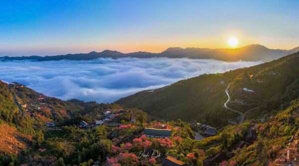 Tà Xùa sẽ không chỉ có mây Tà Xùa sẽ không chỉ có mây