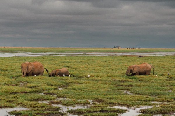 Thành phố ở Việt Nam vào top điểm đến 'trong mơ có giá cả phải chăng' Thành phố ở Việt Nam vào top điểm đến 'trong mơ có giá cả phải chăng'