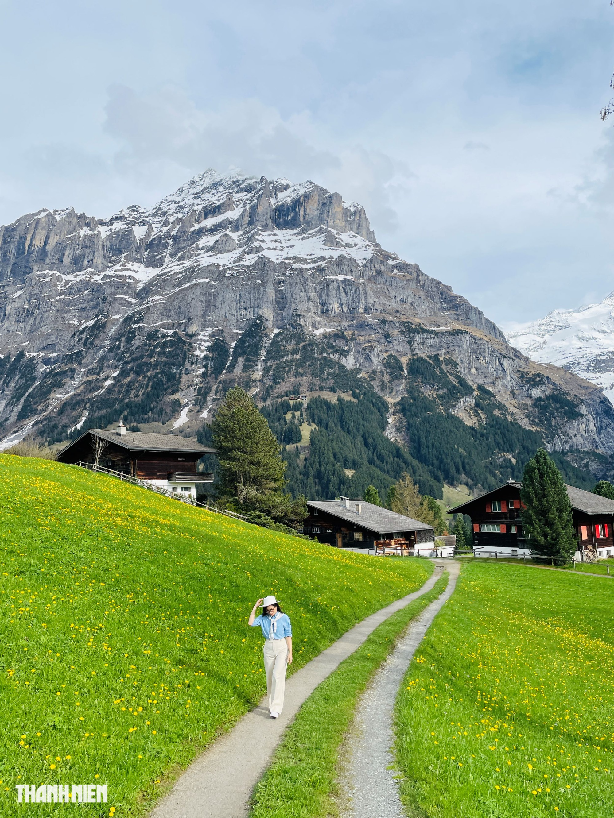 Thụy Sĩ mùa hoa vàng tuyết tan