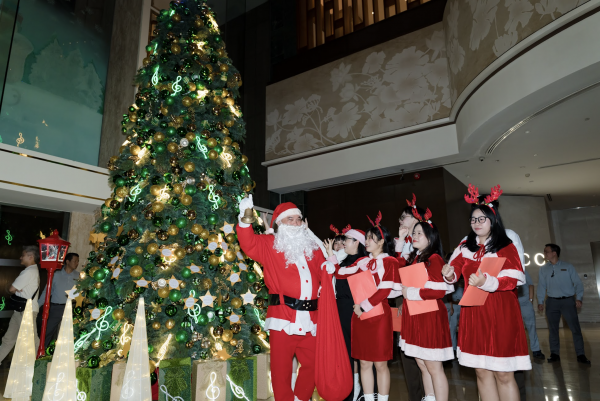 Trời trở lạnh 19 độ, TP.HCM thắp sáng hàng loạt cây thông Noel Trời trở lạnh 19 độ, TP.HCM thắp sáng hàng loạt cây thông Noel