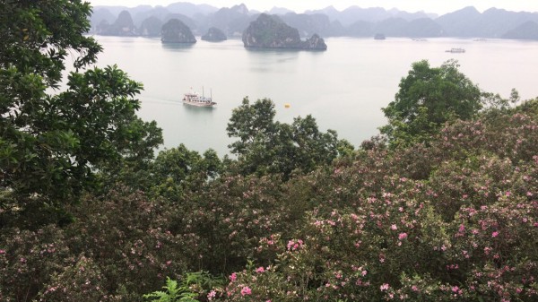 Vào top 100 thế giới, bãi tắm Soi Sim vẫn đóng cửa Vào top 100 thế giới, bãi tắm Soi Sim vẫn đóng cửa