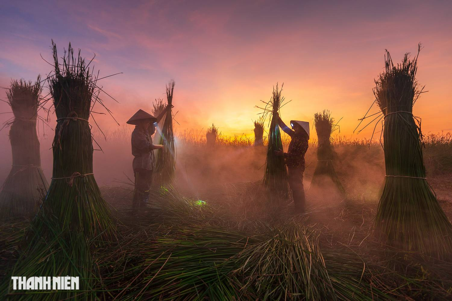 Vẻ đẹp Việt Nam trong cuộc thi ảnh quốc tế