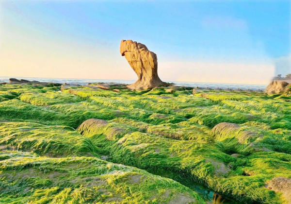 Viên ngọc sinh thái biển Lâm Đồng: 'Cô gái đẹp ngủ quên' chưa được đánh thức Viên ngọc sinh thái biển Lâm Đồng: 'Cô gái đẹp ngủ quên' chưa được đánh thức