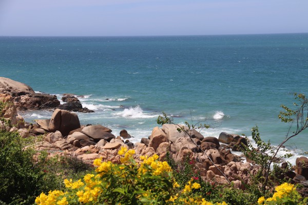 Viên ngọc sinh thái biển Lâm Đồng: 'Cô gái đẹp ngủ quên' chưa được đánh thức Viên ngọc sinh thái biển Lâm Đồng: 'Cô gái đẹp ngủ quên' chưa được đánh thức