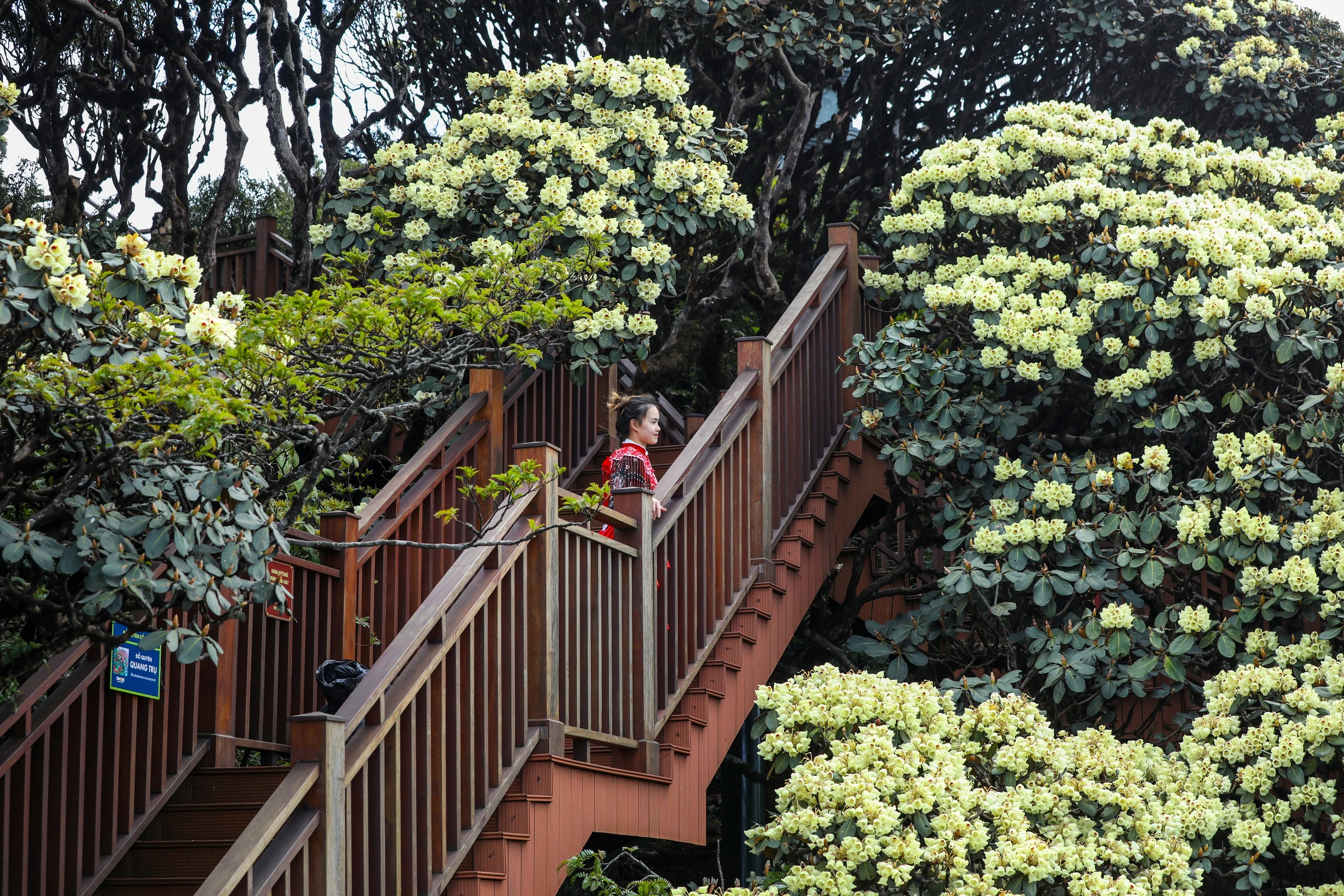 Việt Nam có 2 điểm đến vào top thịnh hành nhất thế giới Việt Nam có 2 điểm đến vào top thịnh hành nhất thế giới