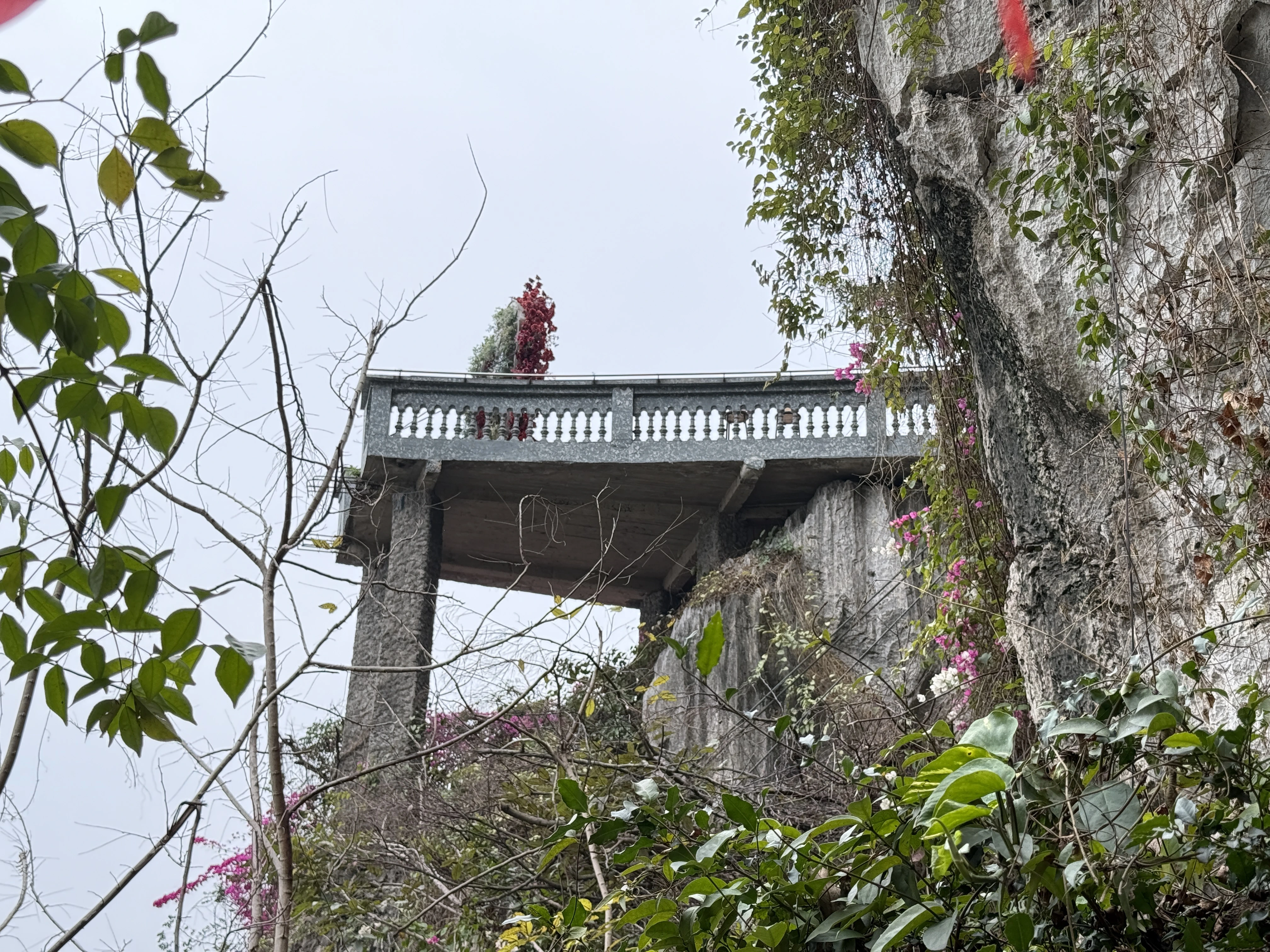 Xót xa hang động bên vịnh Bái Tử Long bị bê tông hóa thành nhà hàng Xót xa hang động bên vịnh Bái Tử Long bị bê tông hóa thành nhà hàng