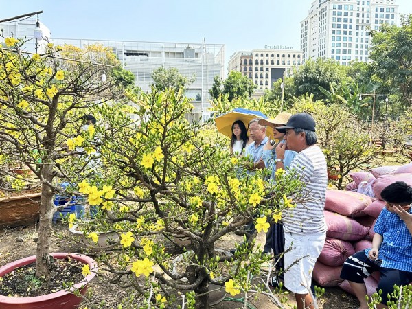 Xu hướng chơi tết hơn ăn tết