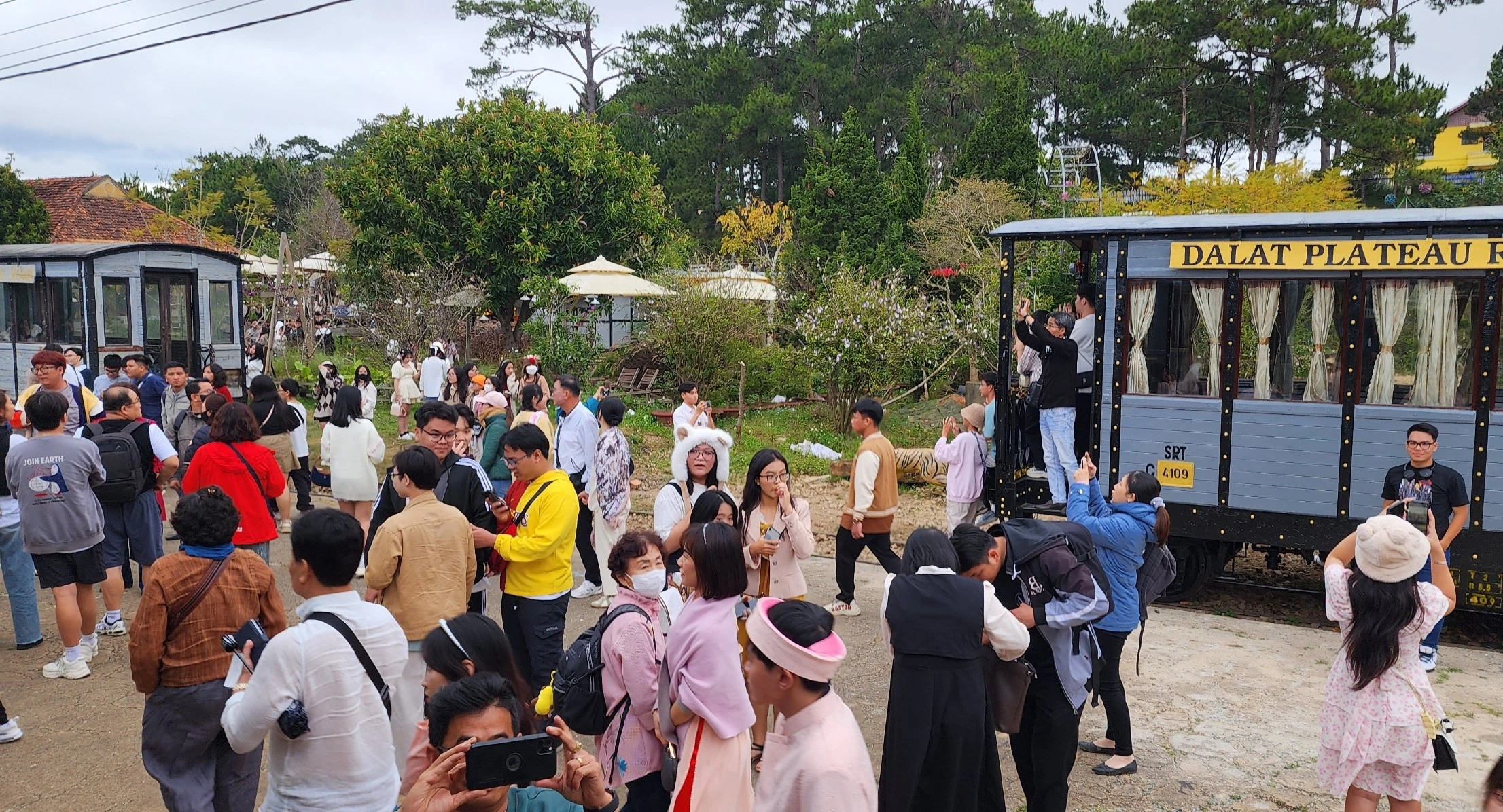 Đà Lạt 'hút' khách Hàn Quốc Đà Lạt 'hút' khách Hàn Quốc