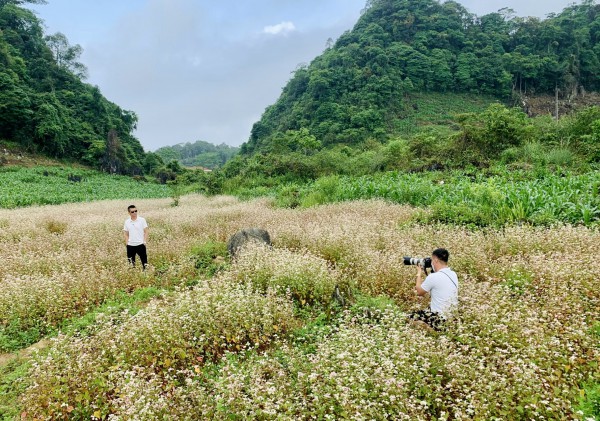 Đến Hà Giang tháng 5, check-in vườn hoa tam giác mạch trái mùa đẹp ngất ngây