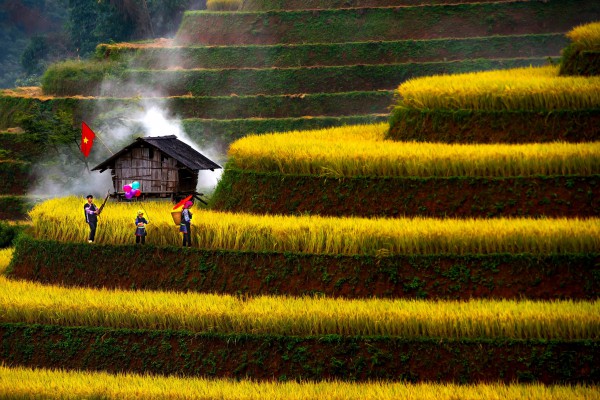 Đẹp nao lòng bức tranh mùa lúa chín ở Mù Cang Chải Đẹp nao lòng bức tranh mùa lúa chín ở Mù Cang Chải