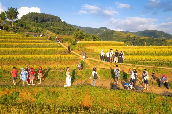 Đẹp nao lòng bức tranh mùa lúa chín ở Mù Cang Chải Đẹp nao lòng bức tranh mùa lúa chín ở Mù Cang Chải