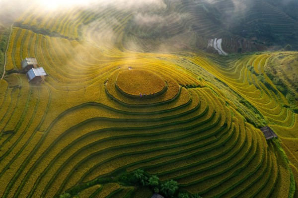 Đẹp nao lòng bức tranh mùa lúa chín ở Mù Cang Chải Đẹp nao lòng bức tranh mùa lúa chín ở Mù Cang Chải