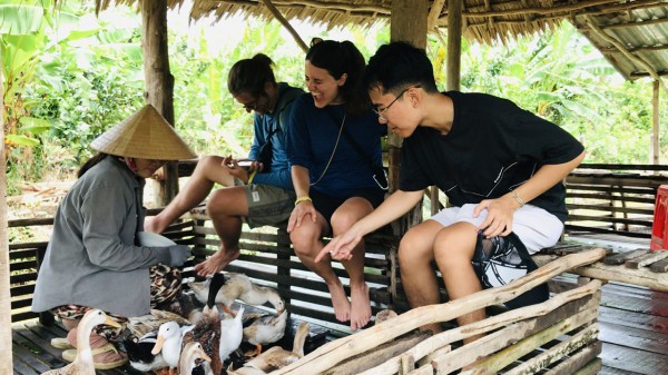 Độc đáo 'massage vịt' ở xứ cồn miền Tây Độc đáo 'massage vịt' ở xứ cồn miền Tây