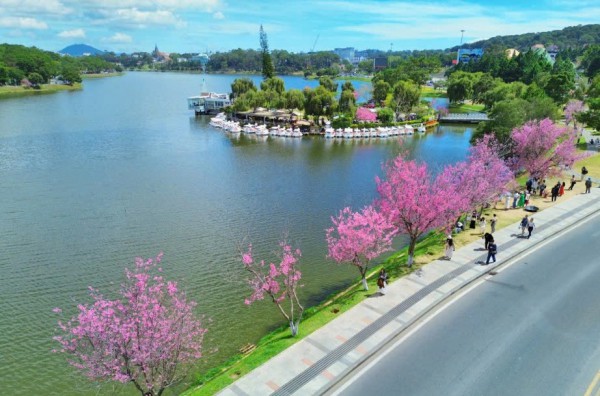 Đóng cửa sân bay Liên Khương, kịch bản nào đón khách đến Lâm Đồng? Đóng cửa sân bay Liên Khương, kịch bản nào đón khách đến Lâm Đồng?