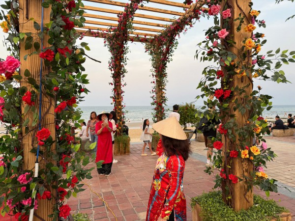 Đường ven biển hóa đường hoa, người người nô nức check-in Đường ven biển hóa đường hoa, người người nô nức check-in