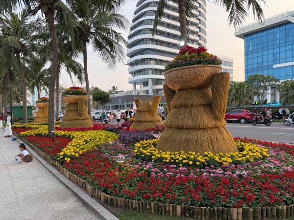 Đường ven biển hóa đường hoa, người người nô nức check-in Đường ven biển hóa đường hoa, người người nô nức check-in