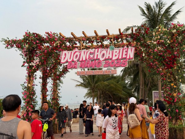 Đường ven biển hóa đường hoa, người người nô nức check-in Đường ven biển hóa đường hoa, người người nô nức check-in