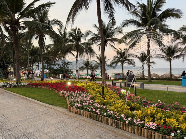 Đường ven biển hóa đường hoa, người người nô nức check-in Đường ven biển hóa đường hoa, người người nô nức check-in